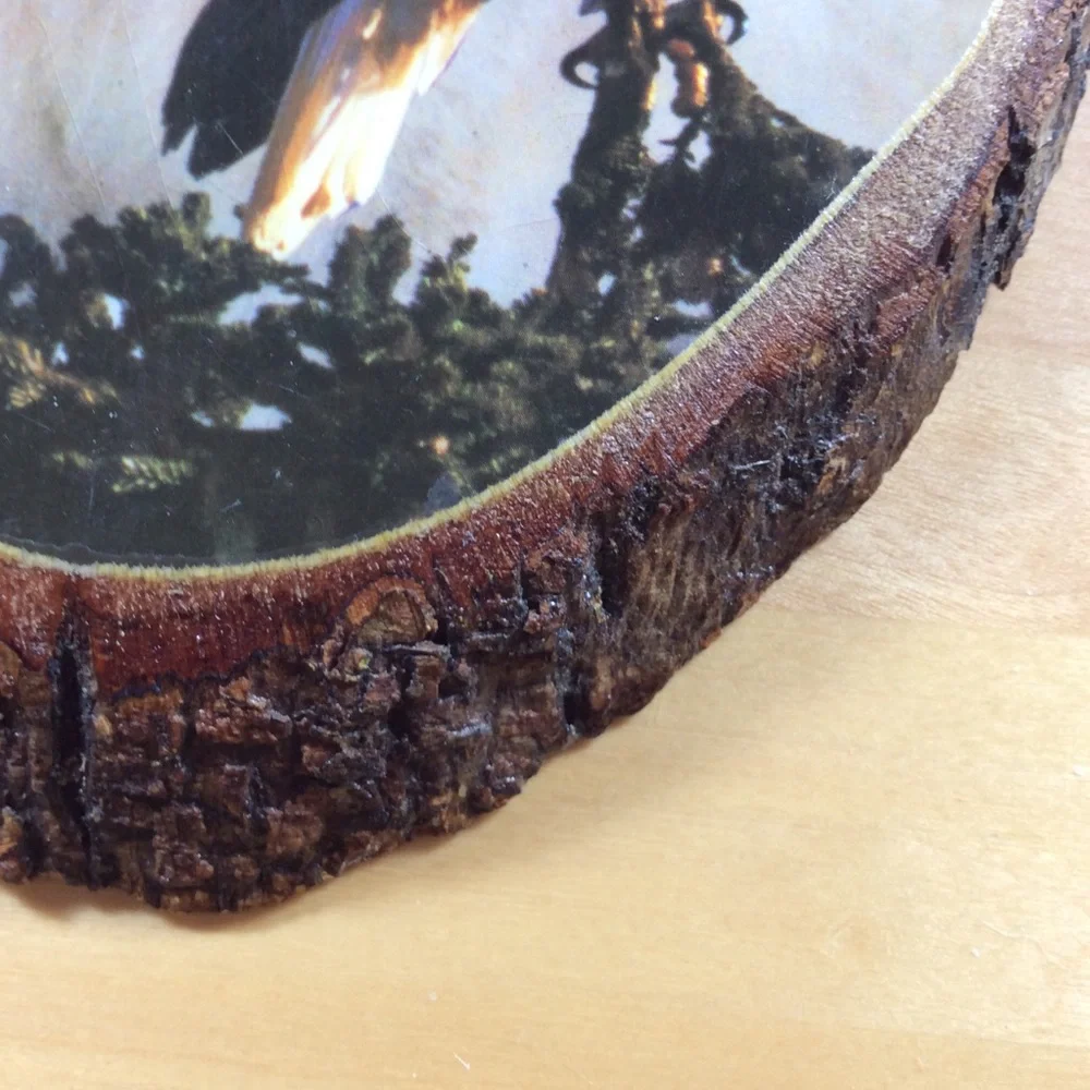 Vintage Wooden Eagle & Wolf Wall Plaque